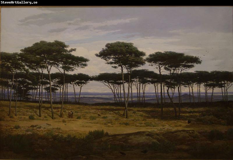 Alexandre N. Roussoff Les pins de Pledeliac